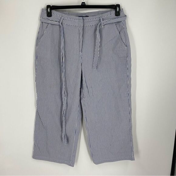 Women’s Flat Front Cropped Blue Pin Striped Pants size 14 - Picture 1 of 3